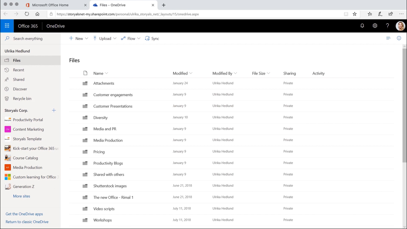 Microsoft OneDrive file directory