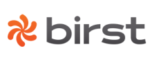 Birst reviews