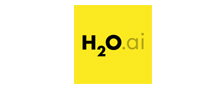 H2O Driverless AI reviews