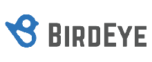 Birdeye reviews