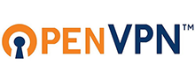 OpenVPN reviews
