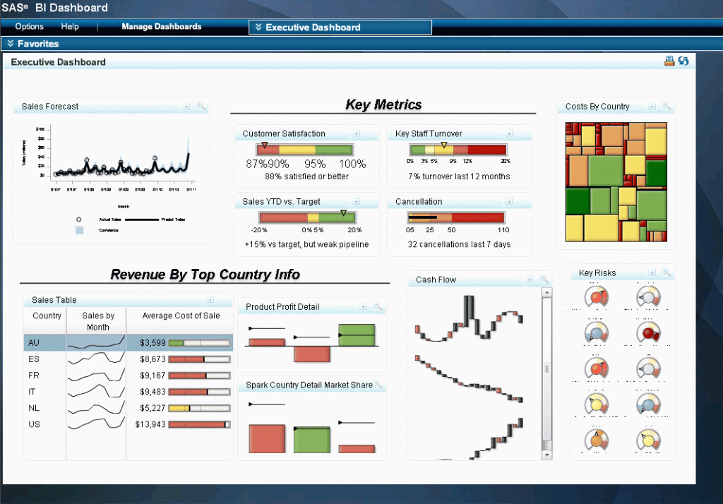 SAS Business Intelligence dashboard
