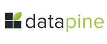 Datapine