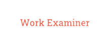 Work Examiner