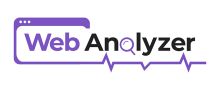 Web Analyzer